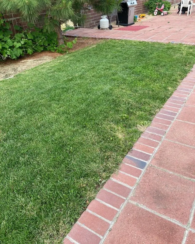 Expert lawn mowing service experts serving Reno, NV - Smartscapes Landscaping