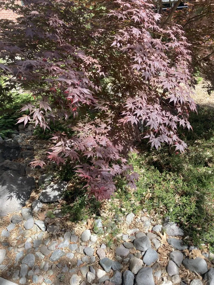 Trusted outdoor landscaping in Reno, NV by Smartscapes Landscaping