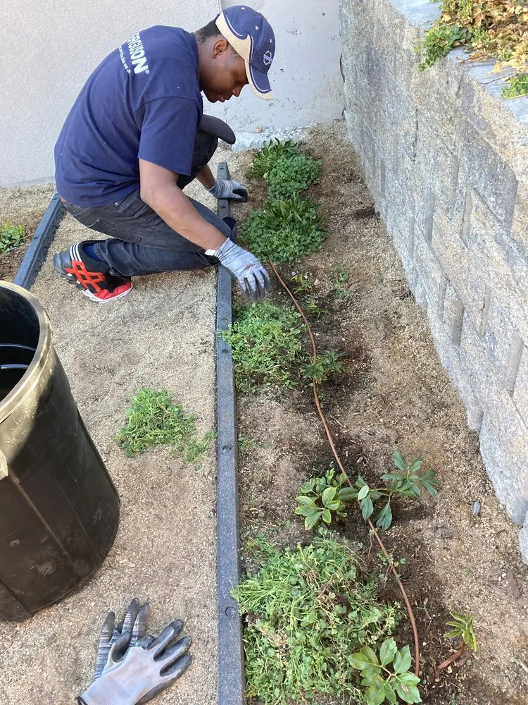 Trusted residential landscaping for beautiful yards across Reno, NV - Smartscapes Landscaping