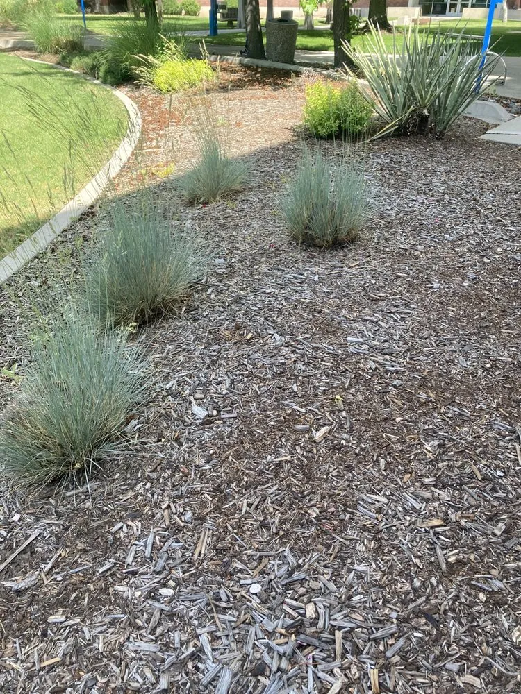 Expert lawn care service for beautiful yards across Reno, NV - Smartscapes Landscaping