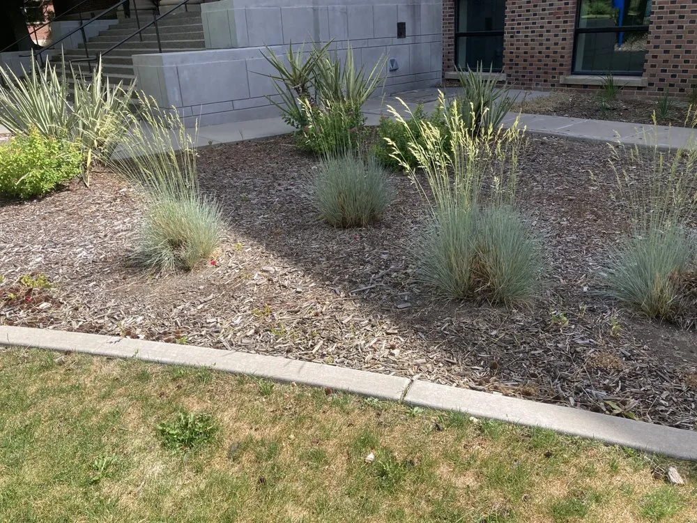 Professional lawn care service for year-round maintenance in Reno, NV by Smartscapes Landscaping