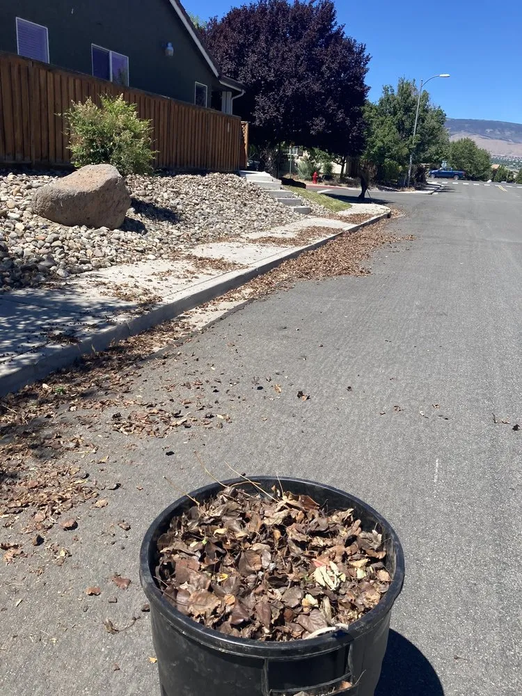 Affordable lawn mowing service for year-round maintenance in Reno, NV by Smartscapes Landscaping