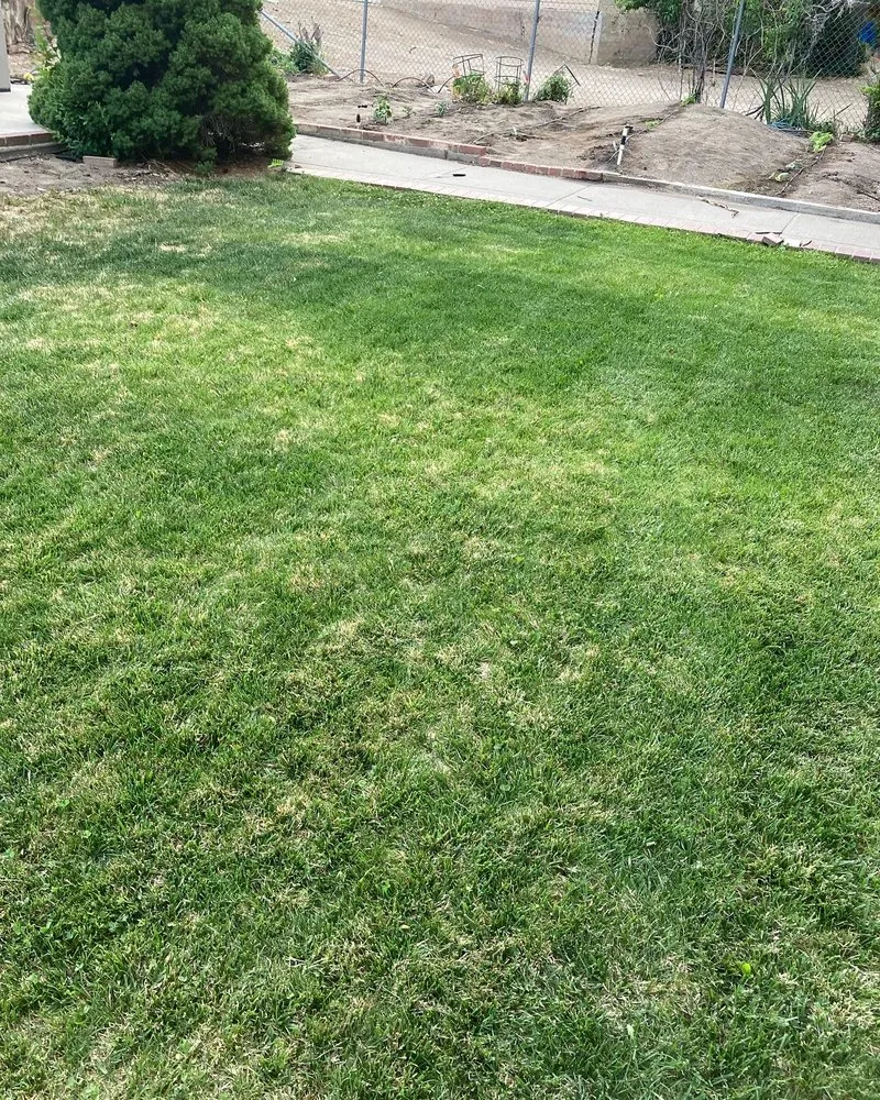 Affordable lawn care service for year-round maintenance across Reno, NV - Smartscapes Landscaping