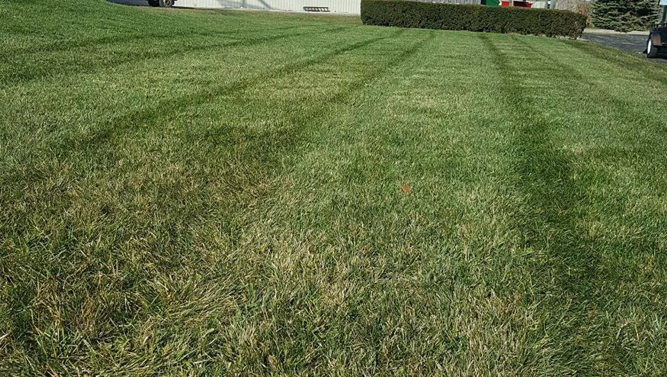 Affordable lawn care service near you across Plain City, OH - Smartscapes