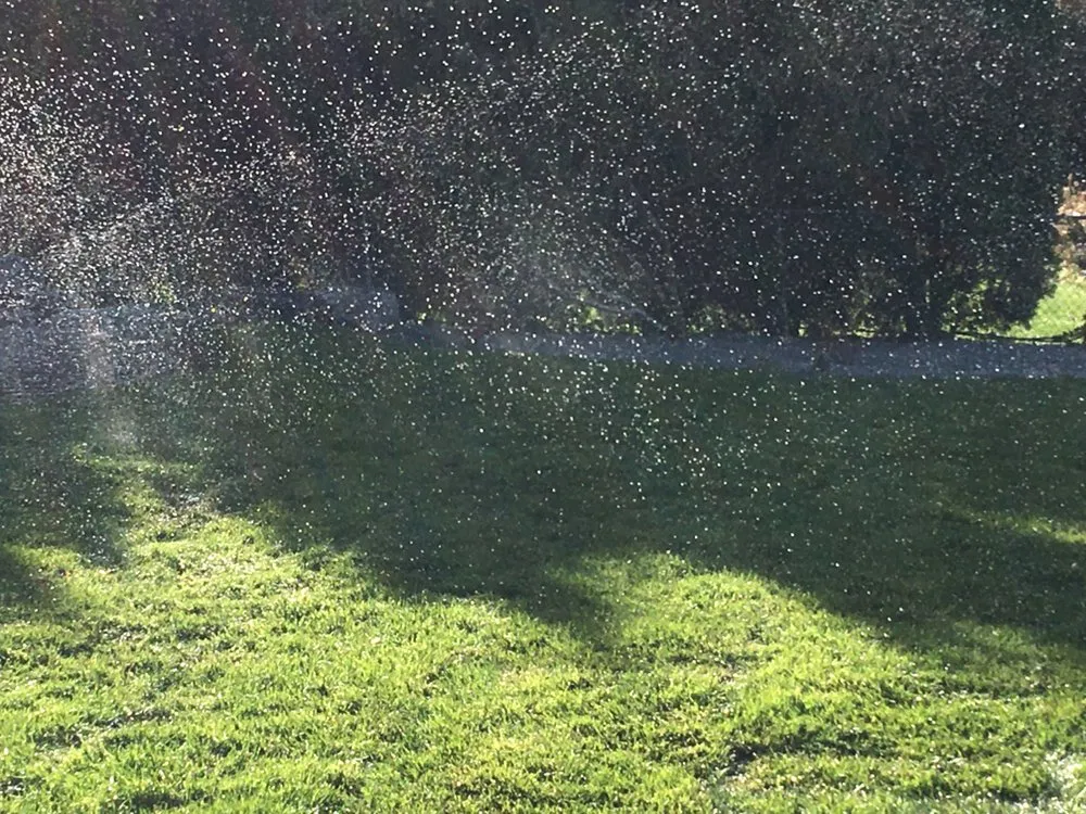 Expert outdoor landscaping in Wheat Ridge, CO by SmartScapes Sprinkler