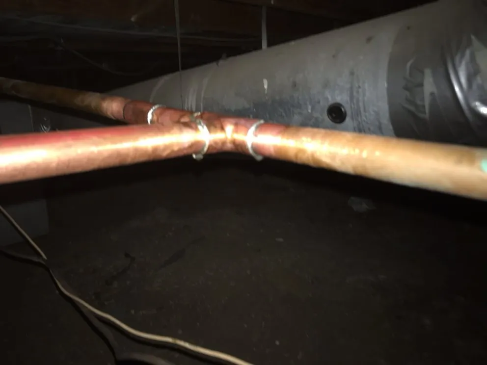 Affordable yard cleanup service in Wheat Ridge, CO - SmartScapes Sprinkler