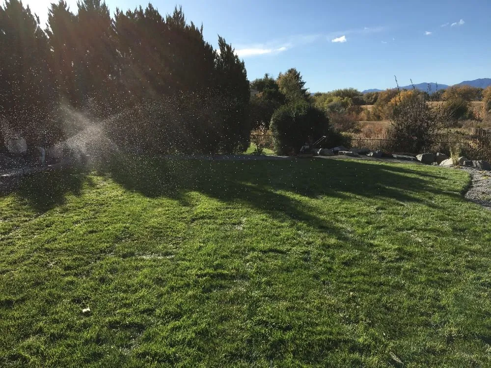 Custom landscaping services experts serving Wheat Ridge, CO - SmartScapes Sprinkler