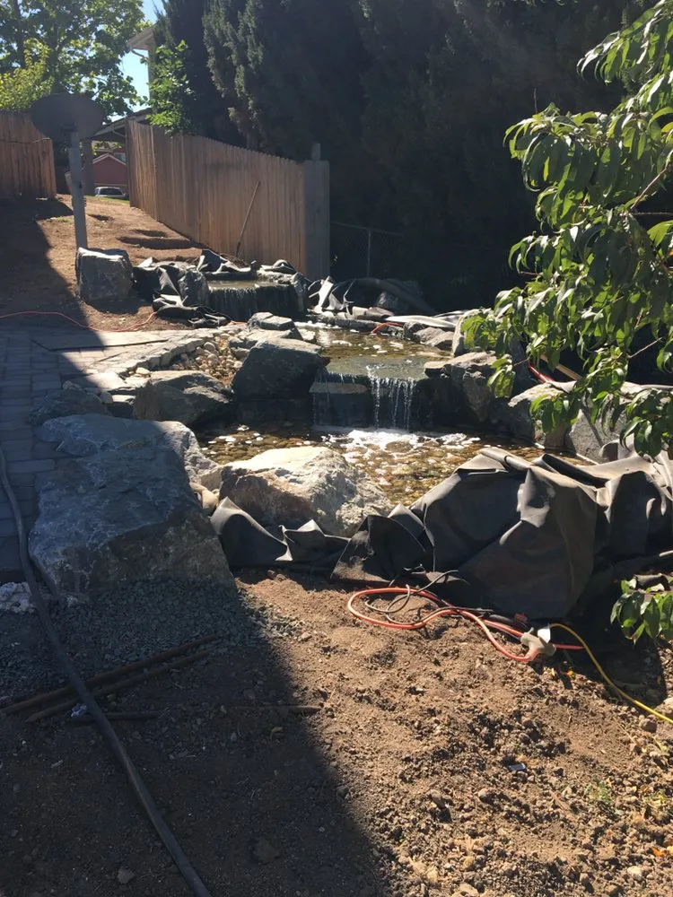 Expert lawn care service near you in Wheat Ridge, CO by SmartScapes Sprinkler