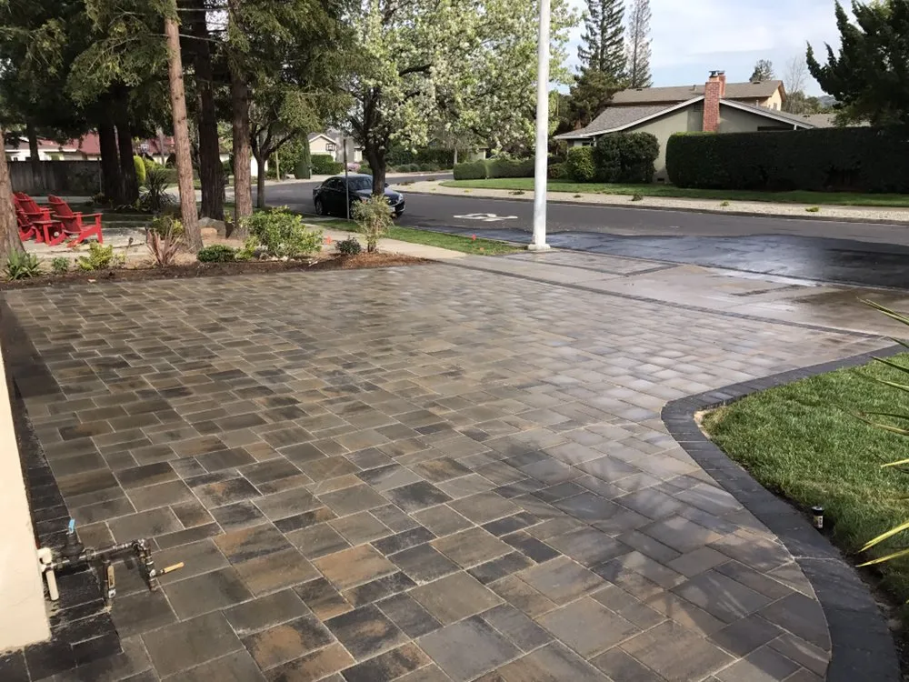 Expert yard cleanup service experts serving Berkeley, CA - Smartscaping