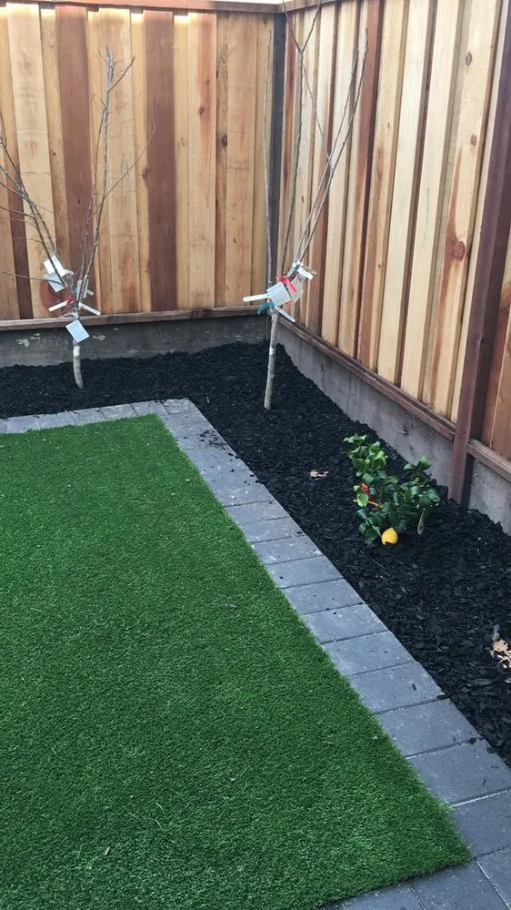 Reliable yard cleanup service experts serving Berkeley, CA - Smartscaping