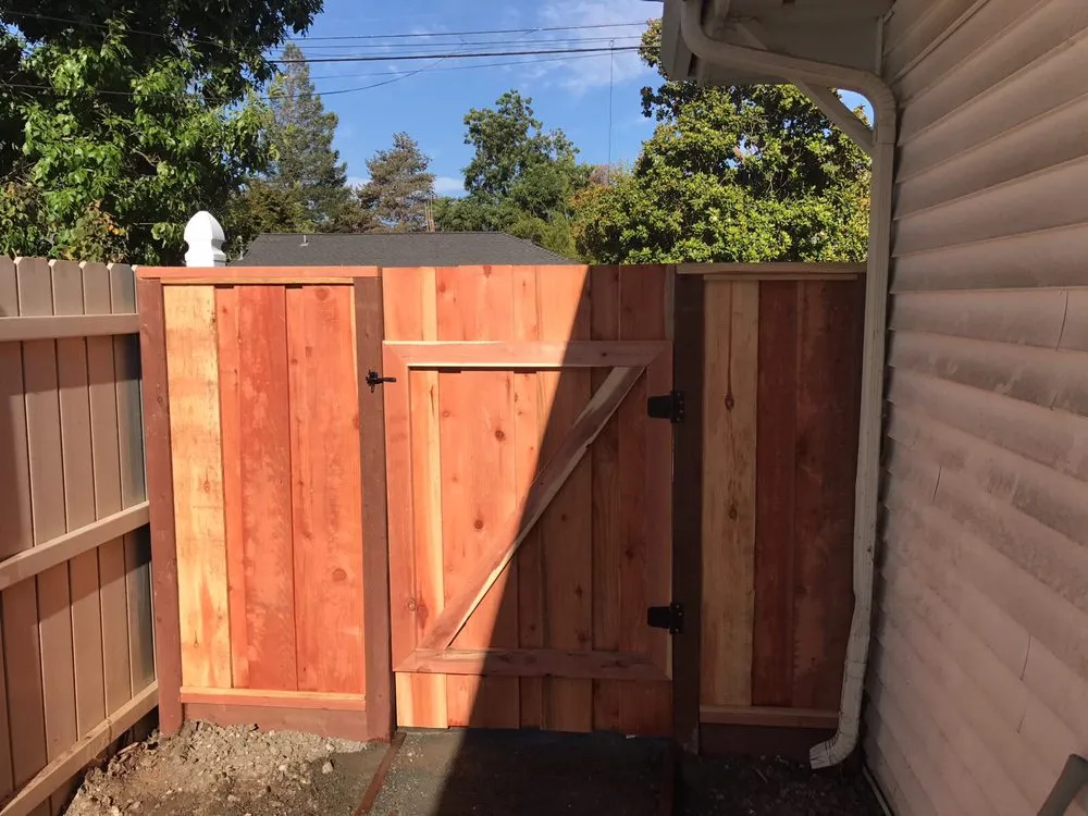 Expert yard cleanup service for beautiful yards across Berkeley, CA - Smartscaping