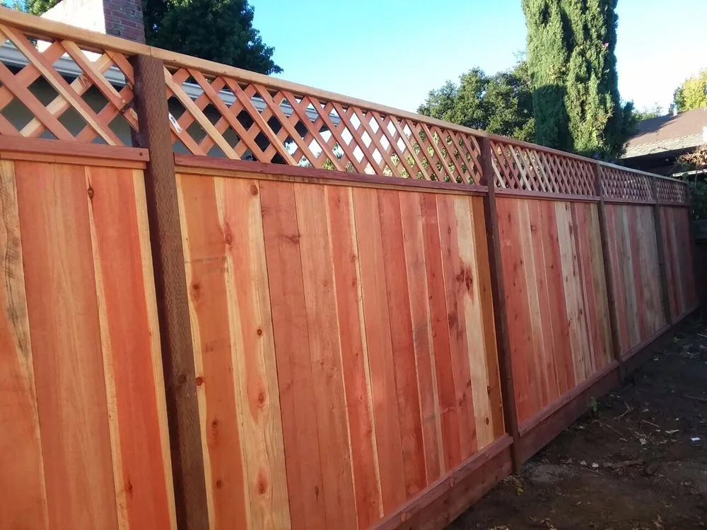 Trusted yard maintenance for outdoor upgrades in Berkeley, CA by Smartscaping