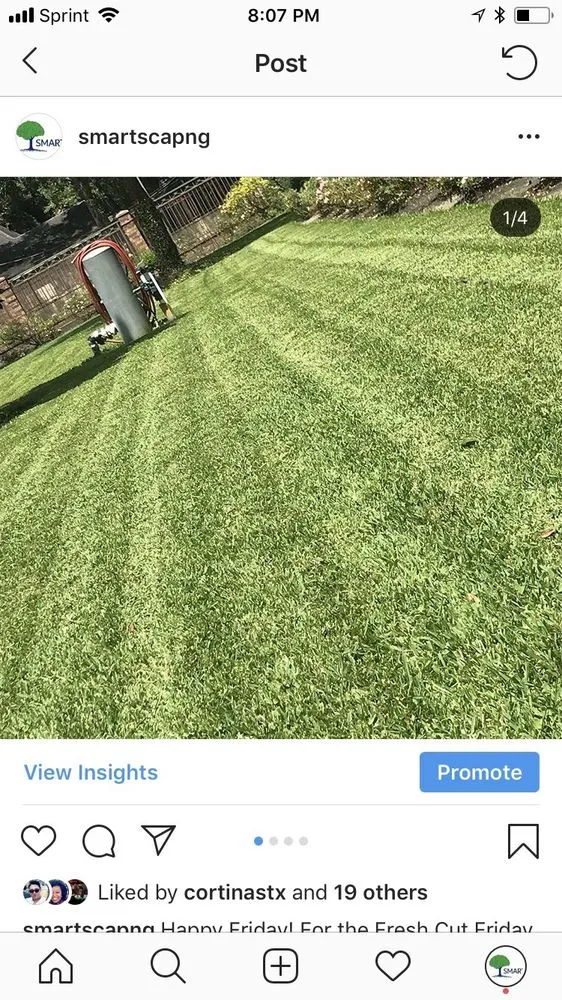 Local yard cleanup service experts serving Houston, TX - Smartscaping