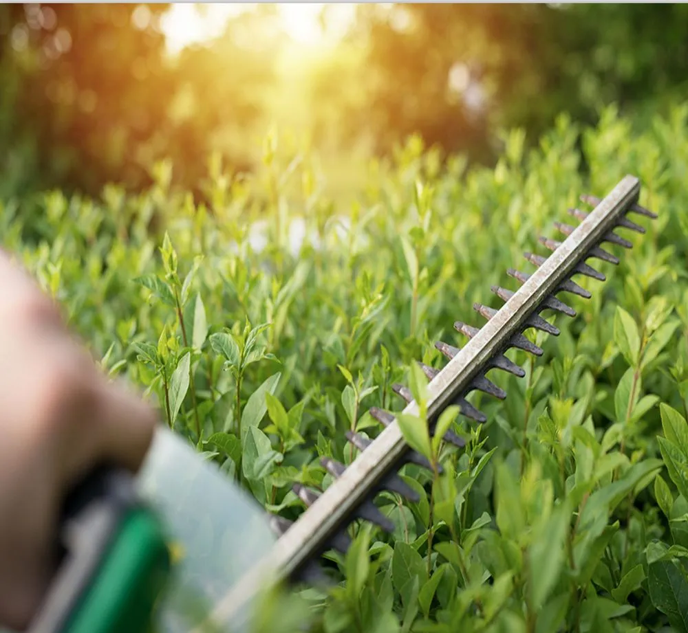 Top-rated residential landscaping in Lipan, TX - Smarty’s Lawn Care Services