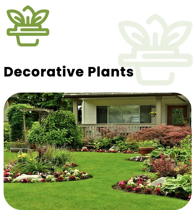 Local landscape installation for outdoor upgrades in Lipan, TX by Smarty’s Lawn Care Services