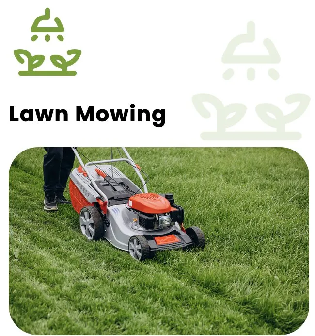 Custom yard maintenance in Lipan, TX by Smarty’s Lawn Care Services