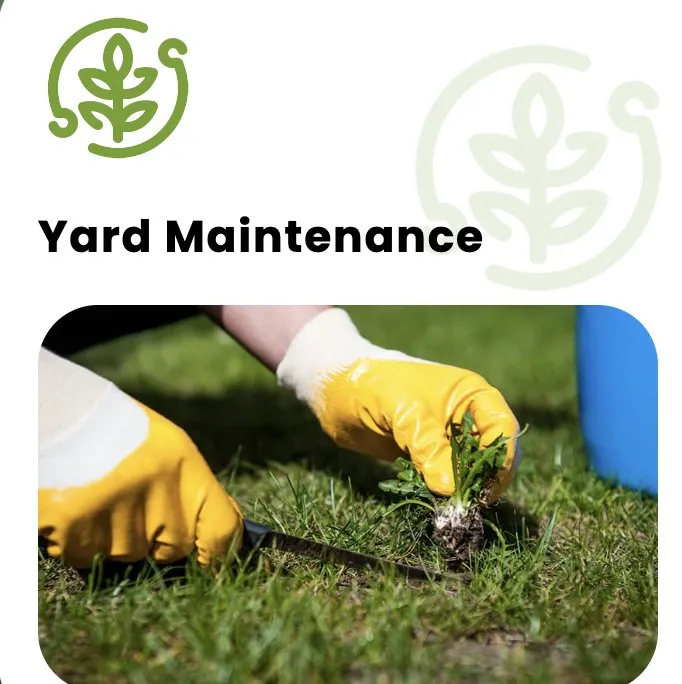 Affordable outdoor landscaping in Lipan, TX by Smarty’s Lawn Care Services