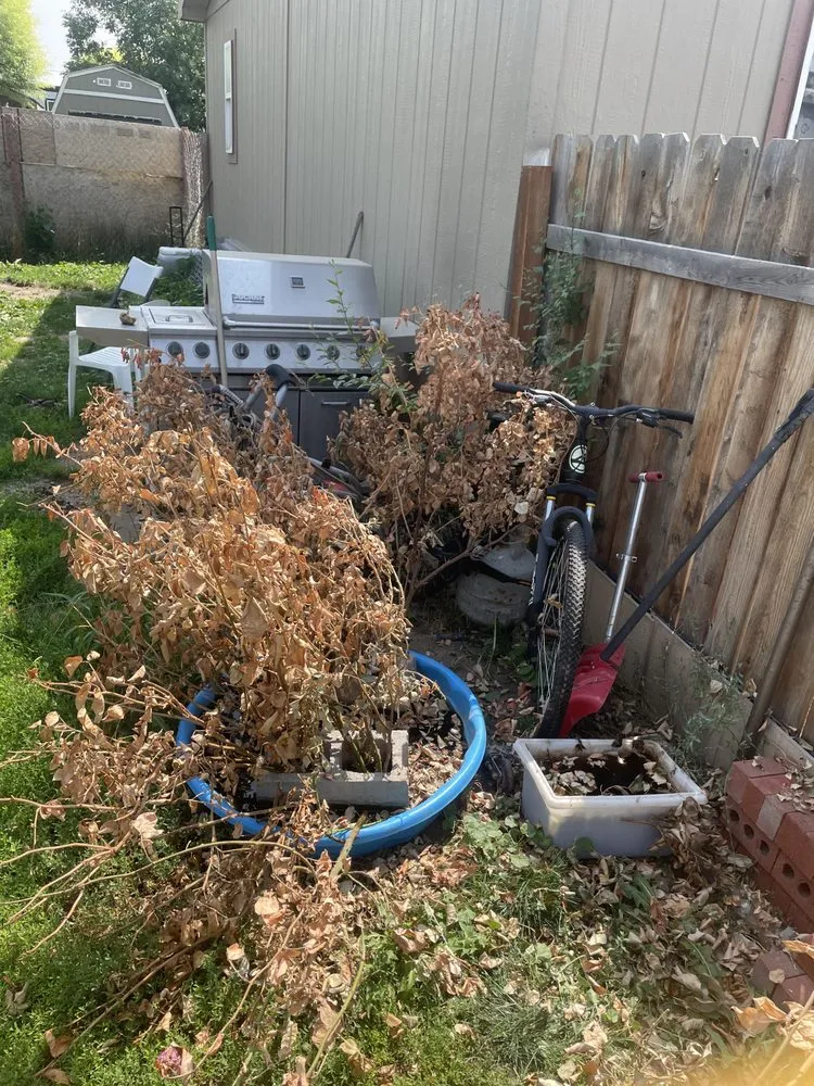 Local outdoor landscaping experts serving Caldwell, ID - Smash & Carry