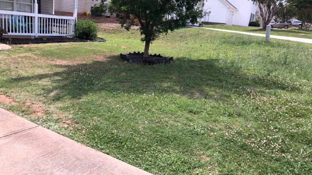 Local landscape installation for beautiful yards in Easley, SC by Smc landscaping &design