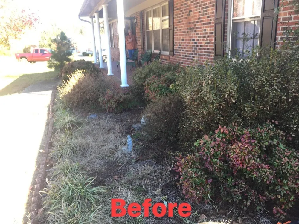 Top-rated landscape design for year-round maintenance across Easley, SC - Smc landscaping &design