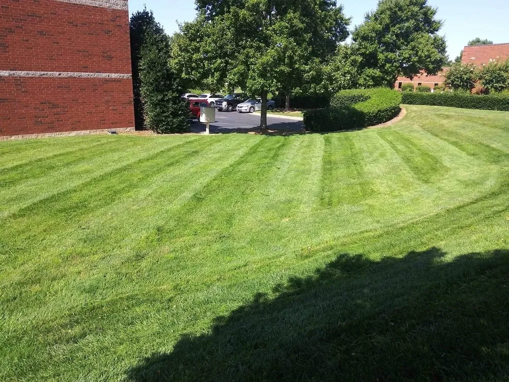 Top-rated outdoor landscaping for beautiful yards across Easley, SC - Smc landscaping &design