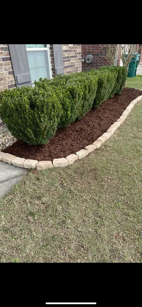 Local yard maintenance for beautiful yards in New Iberia, LA by SMC Maintenance