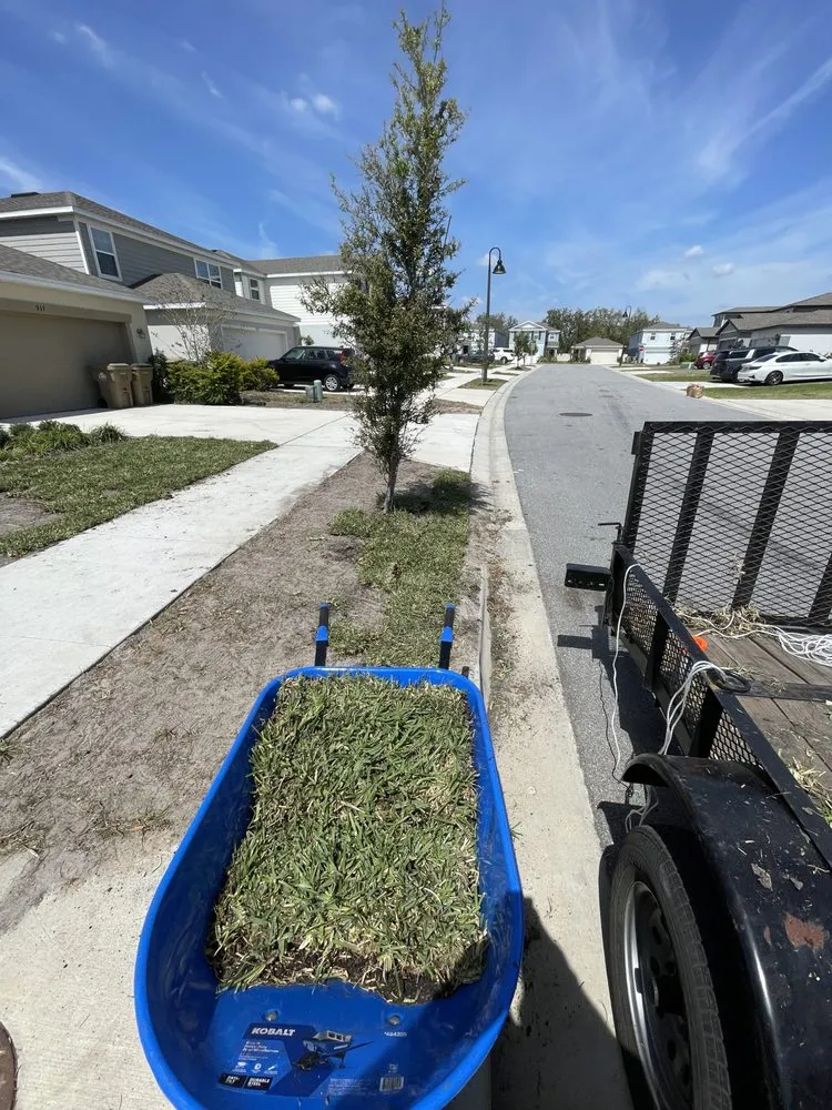 Trusted lawn mowing service in Kissimmee, FL - Smcl & J Landscaping