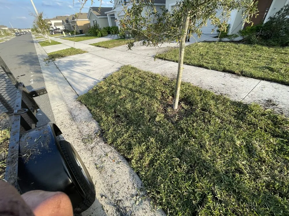 Expert landscape design in Kissimmee, FL by Smcl & J Landscaping