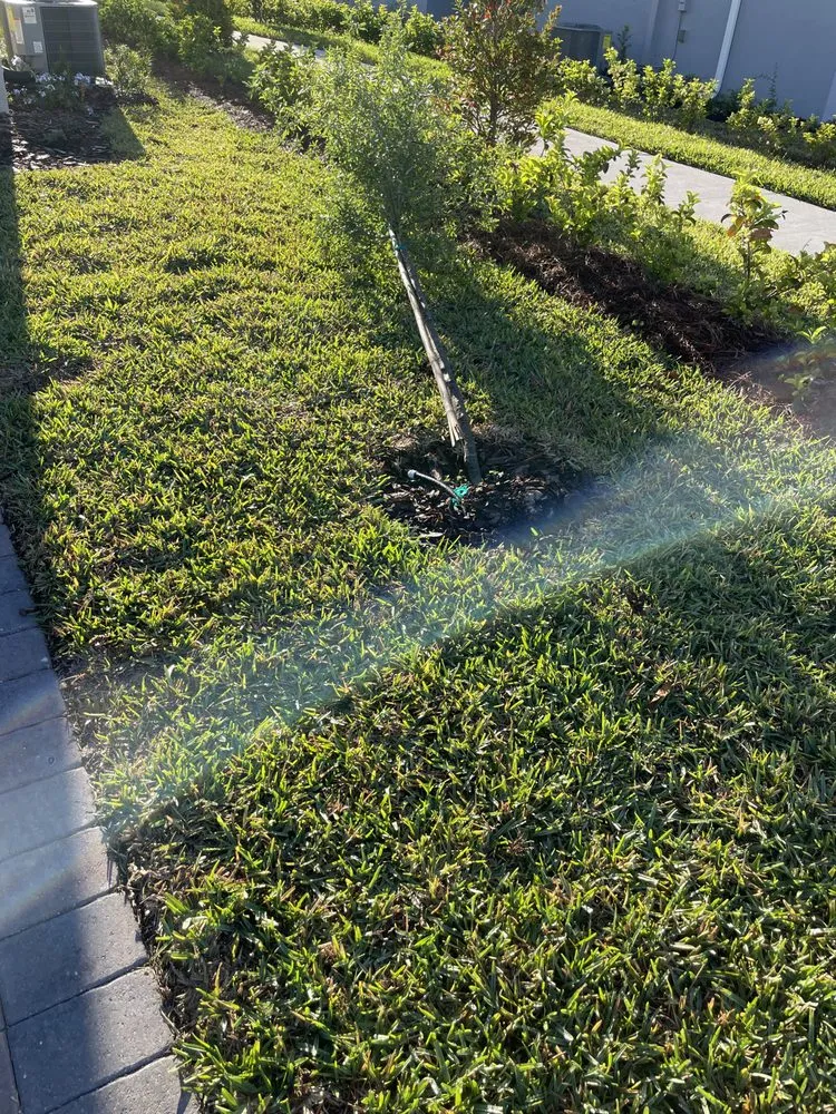Reliable lawn care service experts serving Kissimmee, FL - Smcl & J Landscaping