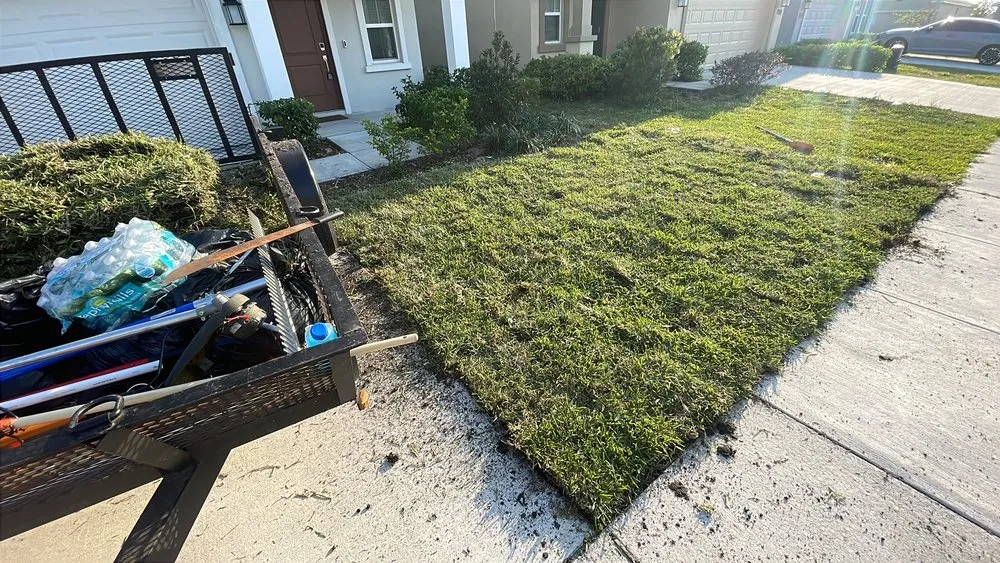 Reliable lawn care service experts serving Kissimmee, FL - Smcl & J Landscaping