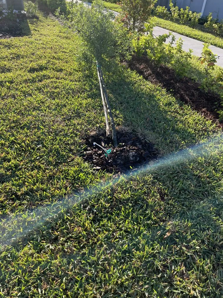 Expert lawn mowing service experts serving Kissimmee, FL - Smcl & J Landscaping