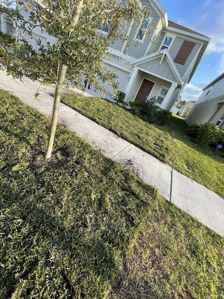 Trusted landscape design in Kissimmee, FL by Smcl & J Landscaping