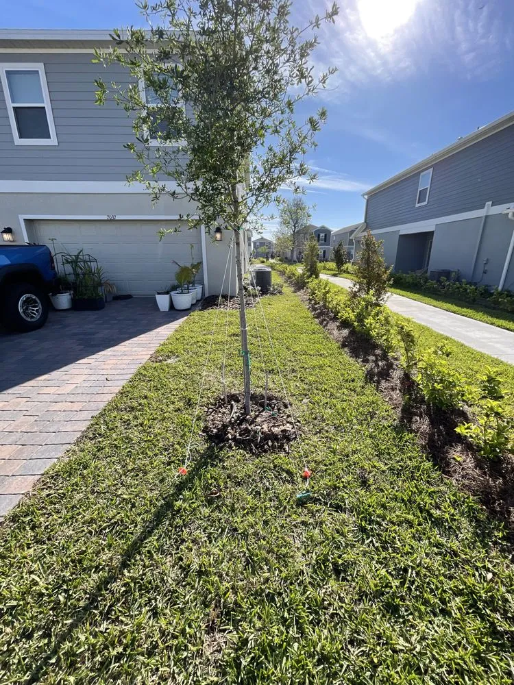 Trusted yard maintenance in Kissimmee, FL - Smcl & J Landscaping