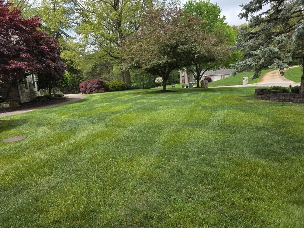 Top-rated yard cleanup service in Middlebury, IN by Smeltzer Lawn Care