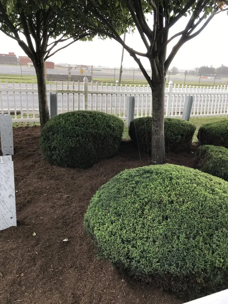 Expert lawn care service in Indianapolis, IN by Smez Maintenance