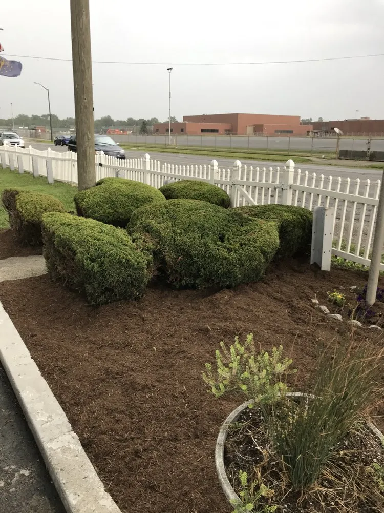 Local landscaping services experts serving Indianapolis, IN - Smez Maintenance