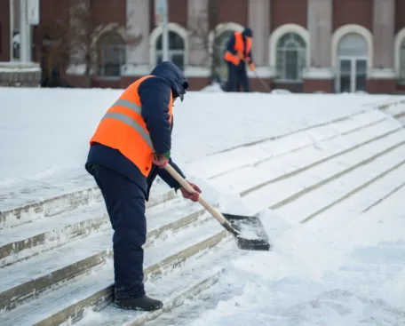 Custom yard cleanup service in Indianapolis, IN by Smez Maintenance