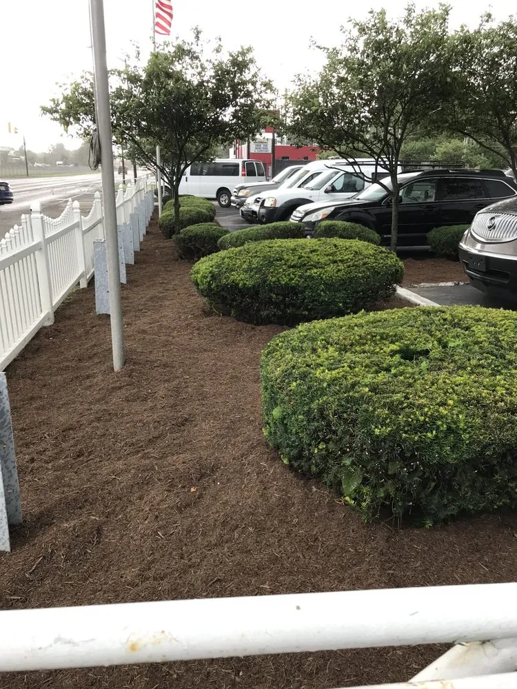 Affordable yard cleanup service in Indianapolis, IN by Smez Maintenance