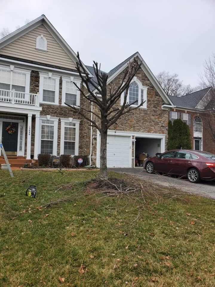 Expert outdoor landscaping in Woodbridge, VA - SMG Services