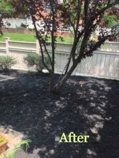 Reliable outdoor landscaping experts serving Woodbridge, VA - SMG Services