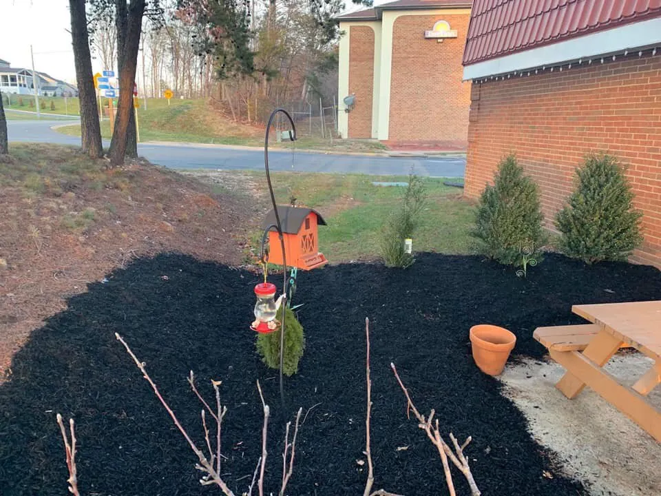 Reliable yard cleanup service experts serving Woodbridge, VA - SMG Services