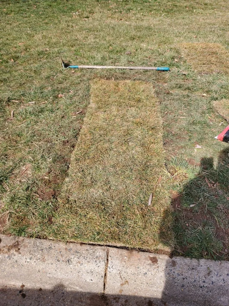 Affordable lawn care service for outdoor upgrades across Woodbridge, VA - SMG Services