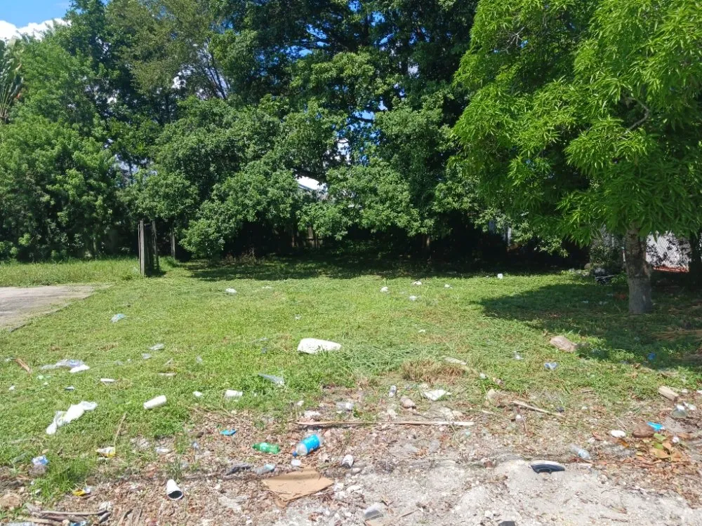Professional outdoor landscaping in Opa-locka, FL - Smiff And Son Landscaping