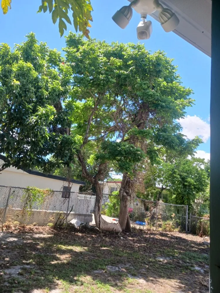 Top-rated garden landscaping in Opa-locka, FL - Smiff And Son Landscaping