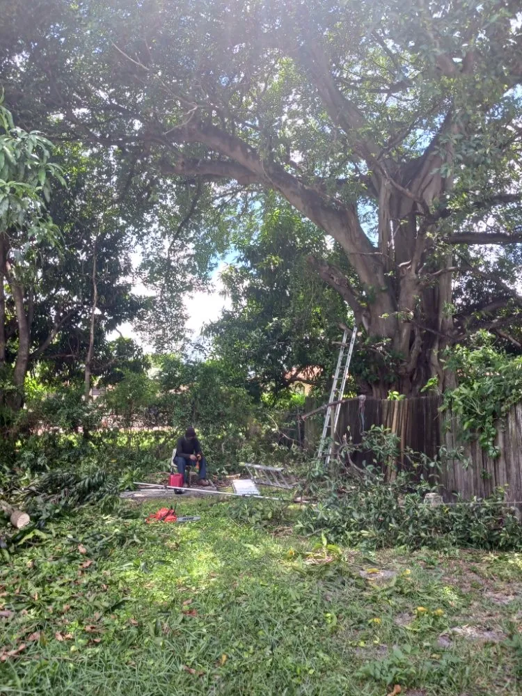 Expert lawn care service for residential properties in Opa-locka, FL by Smiff And Son Landscaping