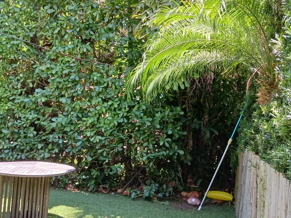 Reliable lawn mowing service with custom design in Opa-locka, FL by Smiff And Son Landscaping