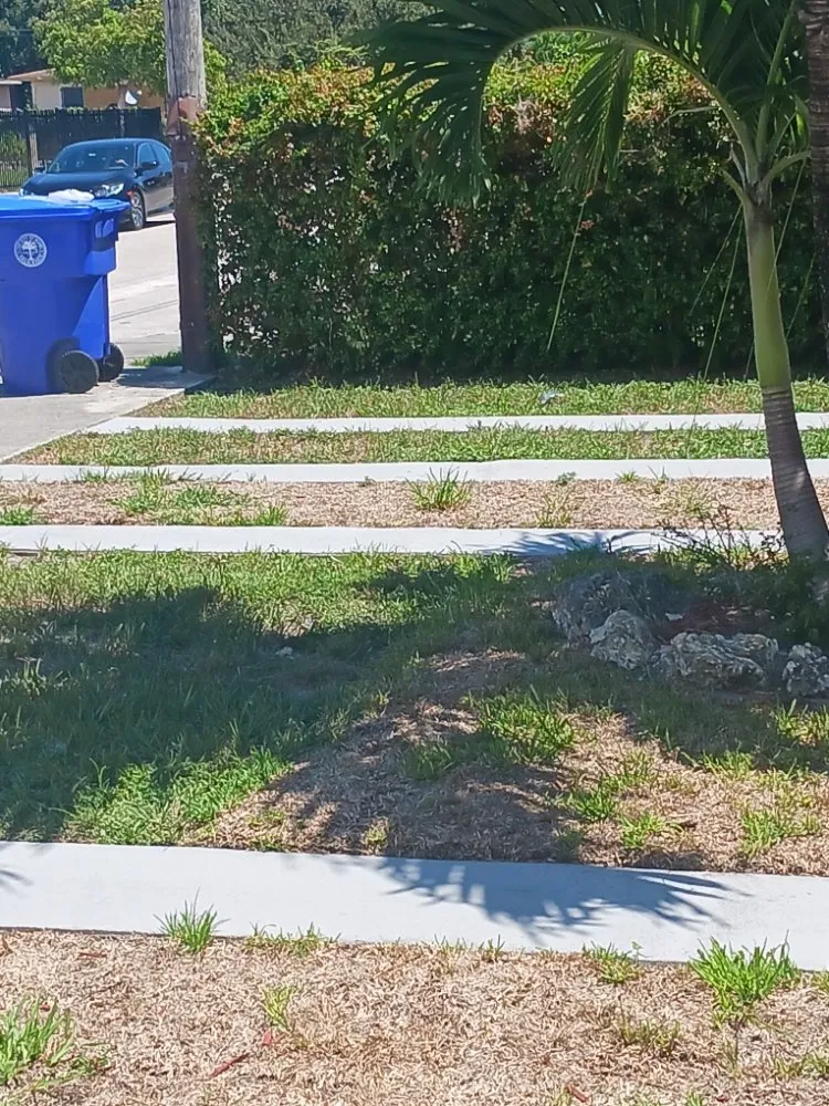 Top-rated yard cleanup service in Opa-locka, FL by Smiff And Son Landscaping