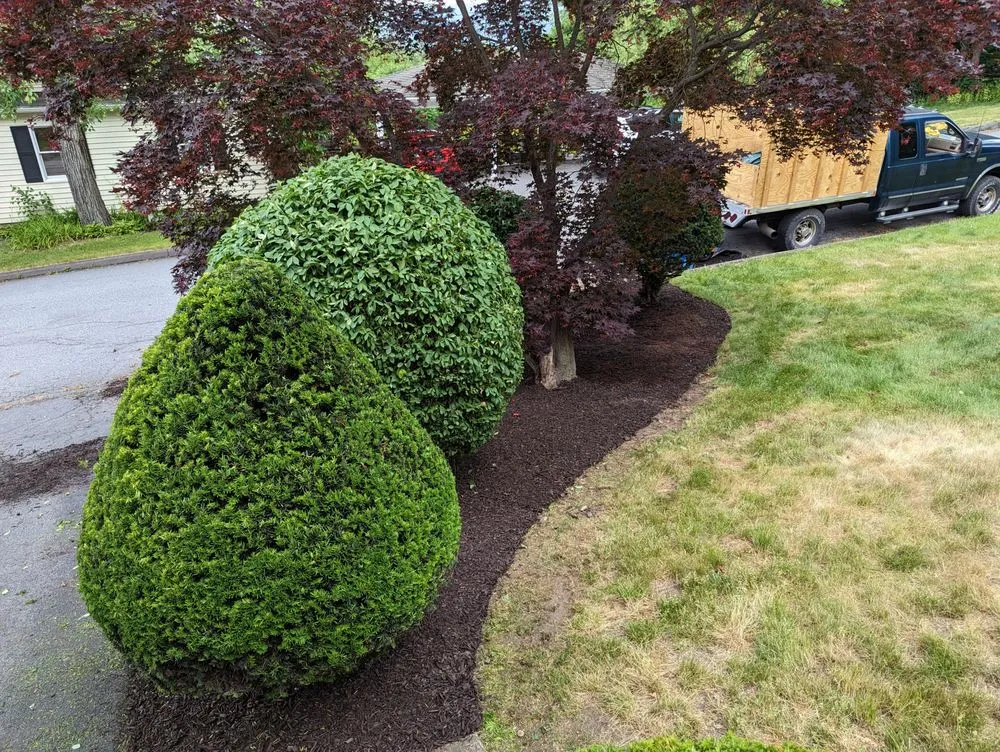 Professional lawn care service in Wilkes Barre, PA - Smile Lawn Care & Landscapers