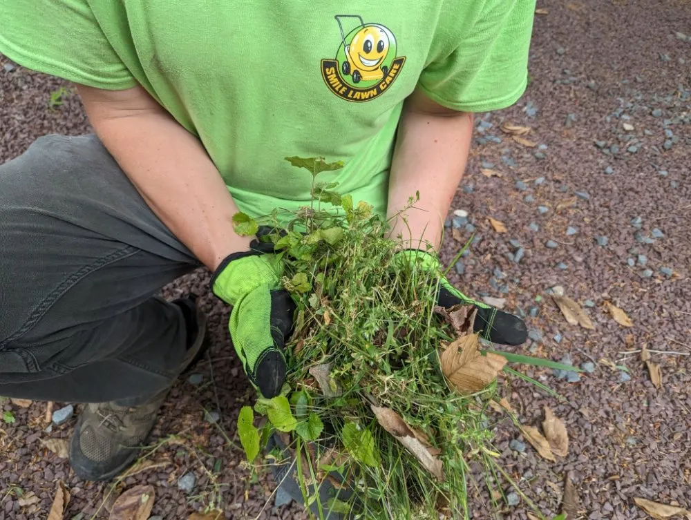 Affordable yard maintenance in Wilkes Barre, PA by Smile Lawn Care & Landscapers