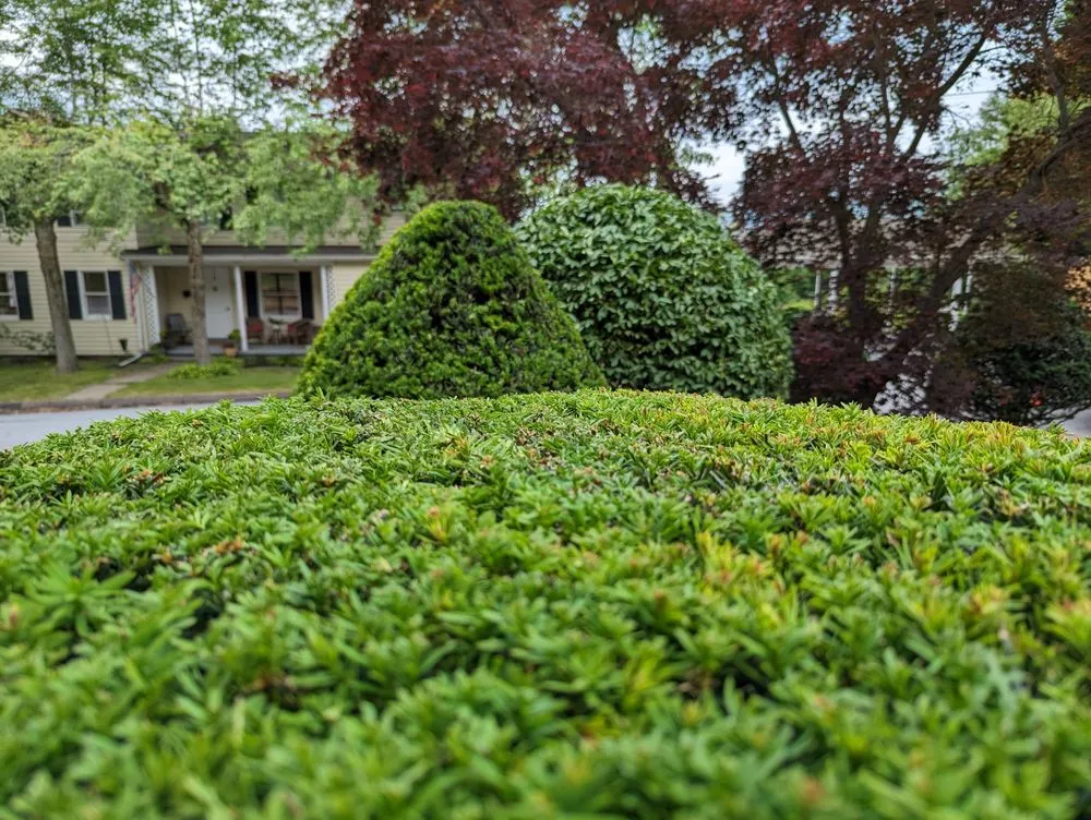 Custom landscape design for homes in Wilkes Barre, PA by Smile Lawn Care & Landscapers